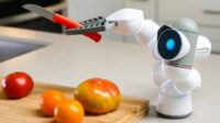 Le Mot Robot-chef