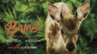 Montreuil animalistes contre Bambi