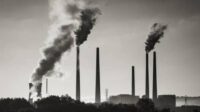 Insee Imposture Milliards CO2