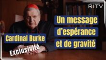 interview Burke neuvaine Guadalupe