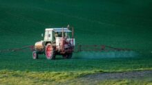 Le Mot Glyphosate