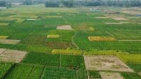 Russie terres agricoles Cuba