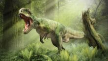 sacs peau dinosaure demain