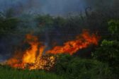 Idaho : un pyromane tend une embuscade à des pompiers