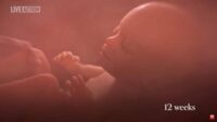 L’Indiana intègre une vidéo sur le développement fœtal dans l’« éducation sexuelle »