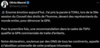 Olivia Maurel à l’ONU pour dénoncer la GPA
