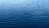aquaparc fermé raison violences