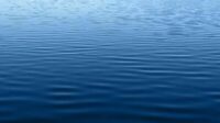 aquaparc fermé raison violences