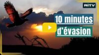 évasion parenthèse actualité anxiogène