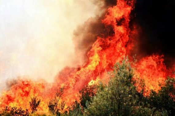 Incendies forêt plus mégafeux