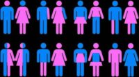 Transgenres ONU hésite France