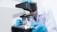 chercheurs vie synthétique efficace