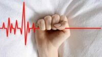 pouvoir énergisant euthanasie