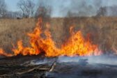 Le réensauvagement des tourbières au Royaume-Uni pourrait entraîner des incendies incontrôlables