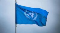 Négligée Etats-Unis ONU acharne