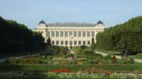 Vol or Muséum histoire