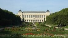 Vol or Muséum histoire