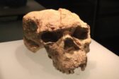 Encore un coup de vieux pour Sapiens