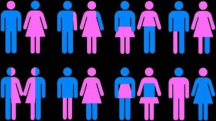 Parlement européen femme transgenre