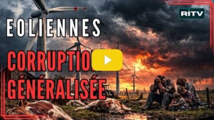 Eoliennes corruption généralisée