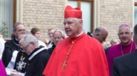 cardinal Müller immigration masse