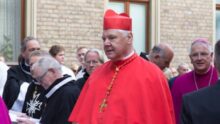 cardinal Müller immigration masse
