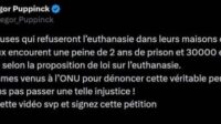 religieuse ONU dénoncer euthanasie