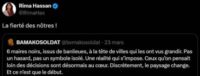 Rima Hassan fière des maires noirs de Bamakosoldat : qui sont « les nôtres » ?