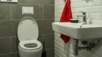Brexit toilettes écolo UE