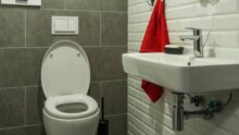 Brexit toilettes écolo UE