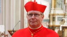 Eijk rapport synodal homosexuel