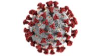 hantavirus surtout épidémie médiatique