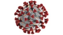 hantavirus surtout épidémie médiatique