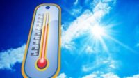 Canicule Congé climatique Tondelier