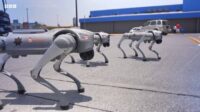 robots chiens Coupe monde