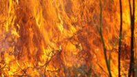 Fontainebleau paysans pompiers incendie