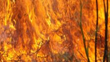 Fontainebleau paysans pompiers incendie