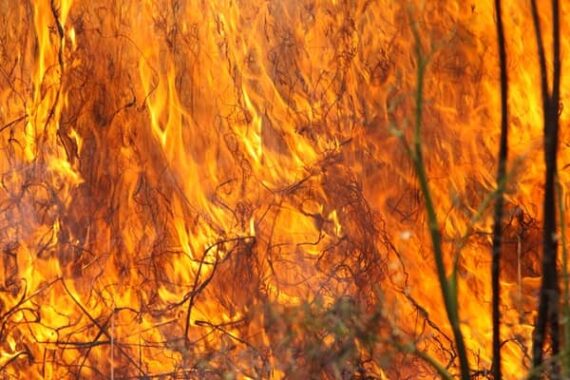 Fontainebleau paysans pompiers incendie