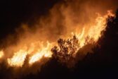 Incendies : l’homme, protection de la forêt du Nord