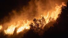 Incendies homme protection forêt
