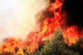 Ubu écolo, roi des incendies de forêt ! Ubu écolo, roi des incendies de forêt !