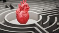 autoriser tuer prelevement organes