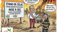 écologie du désastre