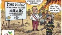 écologie du désastre