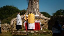 messe catholique abbaye Bayham