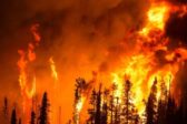 Incendies : un suspect arrêté sur trois est mineur