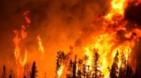 Incendies suspect arrêté mineur