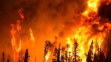Incendies suspect arrêté mineur