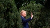Trump guerre tourisme naissances