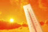 « Je veux survivre ! » : coup de chaud et effet d'aubaine